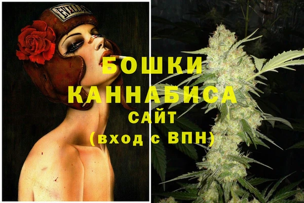 гидра Вязники
