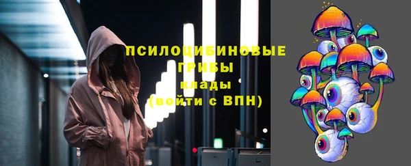 гидра Вязники