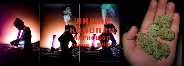 дживик Горняк