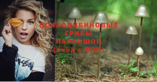 соль курить ск Вяземский