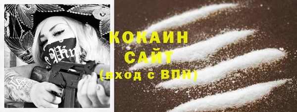 гидра Вязники