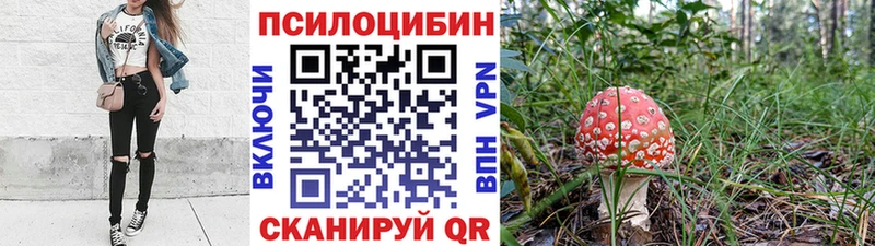 Купить закладки  Печора  Псилоцибиновые грибы Cubensis 